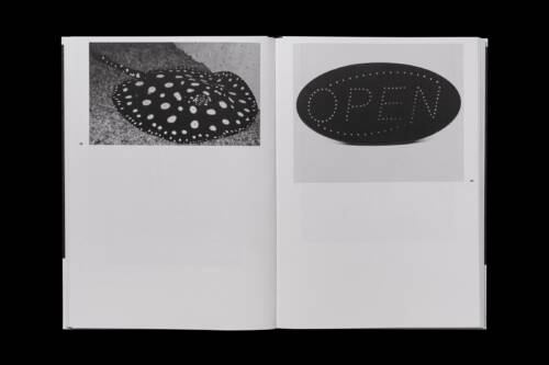 Edition Ventile Image Generation 16