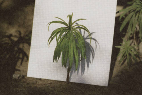 Ollie Schaich Studio Soiree Graphique 04